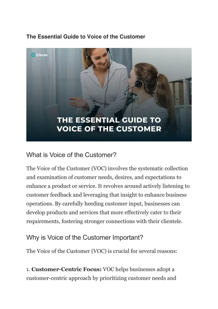 the essential guide to voice of the customer