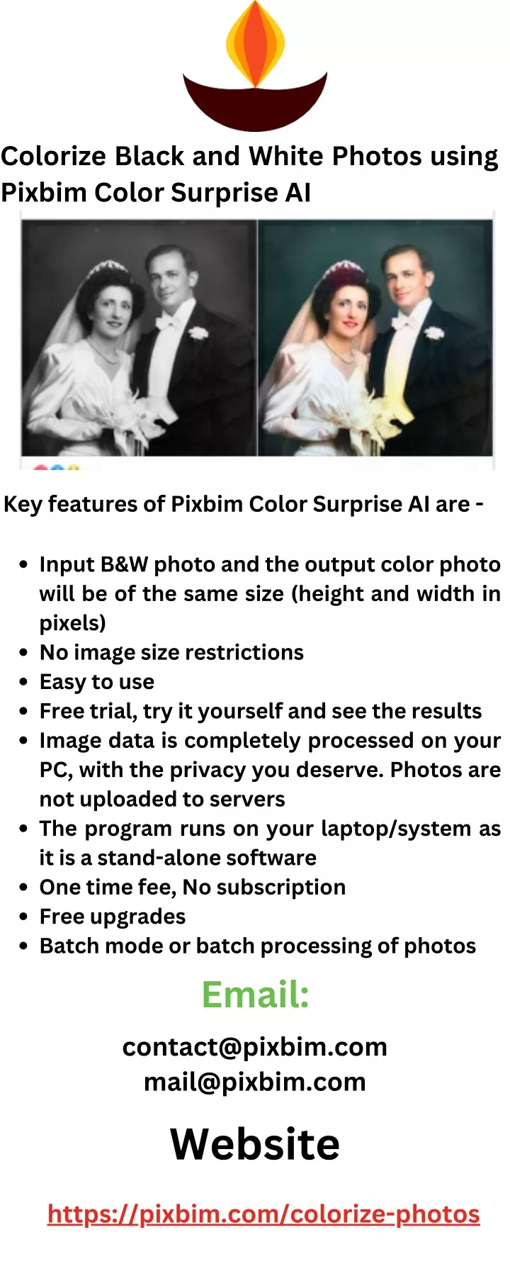 colorize black and white photos using pixbim