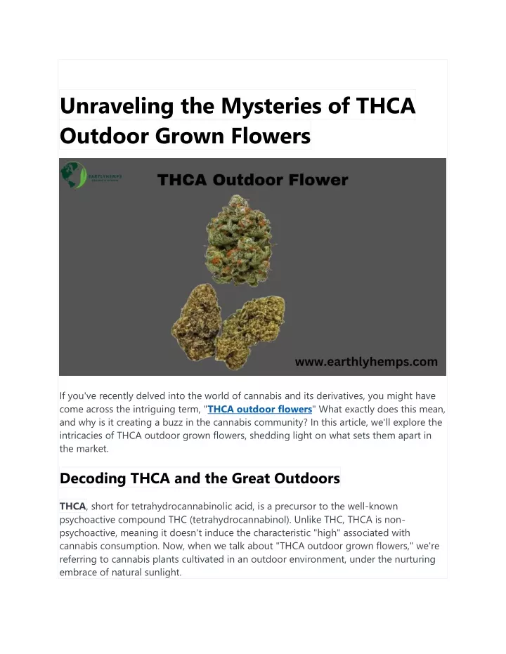 unraveling the mysteries of thca outdoor grown