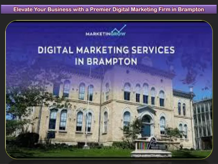 elevate your business with a premier digital