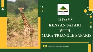12 Days Kenyan Safari