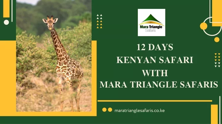 12 days kenyan safari