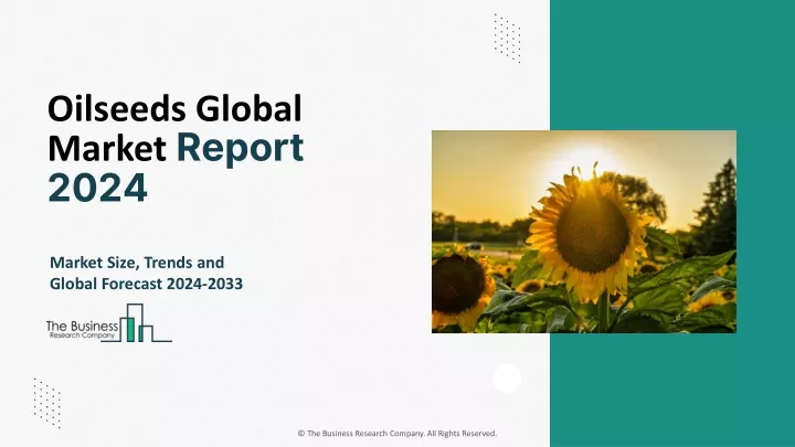 oilseeds global market report 2024