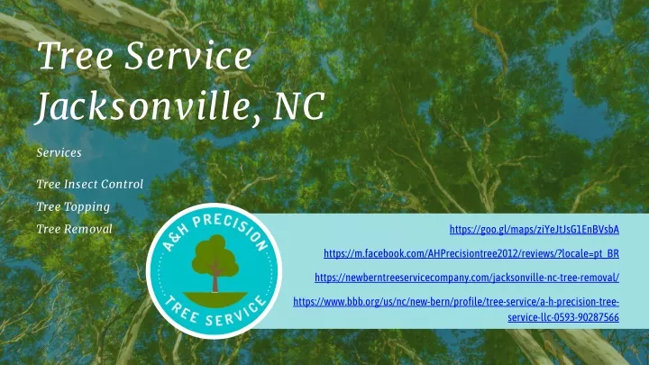 tree service jacksonville nc