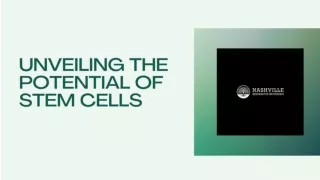 Unveiling the Potential of Stem Cell