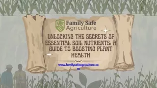 Unlocking the Secrets of Essential Soil Nutrients Product