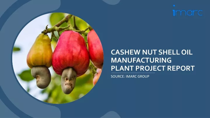 cashew nut shelloil manufacturing plant project