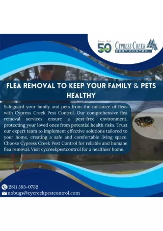 Flea Extermination to Keep Your Family & Pets Healthy