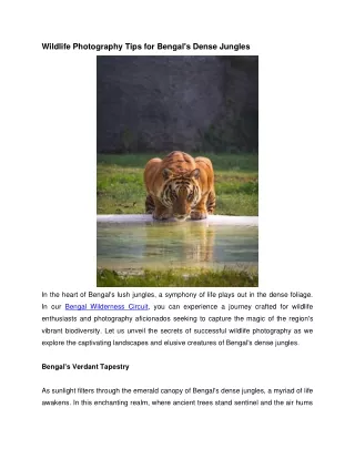 Wildlife Photography Tips for Bengal's Dense Jungles