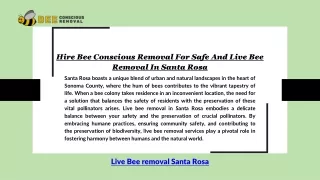 Hire Bee Conscious Removal For Safe And Live Bee Removal In Santa Rosa