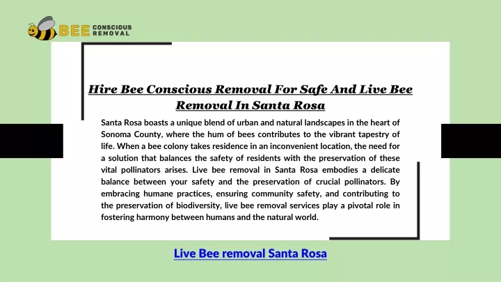 hire bee conscious removal for safe and live