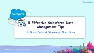 5 Effective Salesforce Data Management Tips to Boost Sales & Streamline Operations