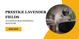 prestige lavender fields at varthur near