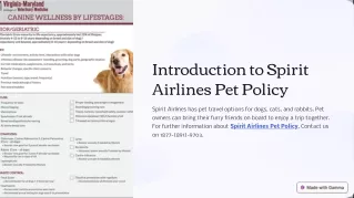 Spirit airlines pet policy