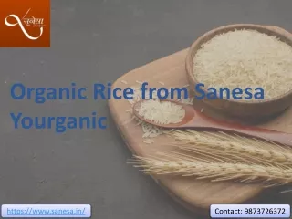 Organic Rice from Sanesa Yourganic