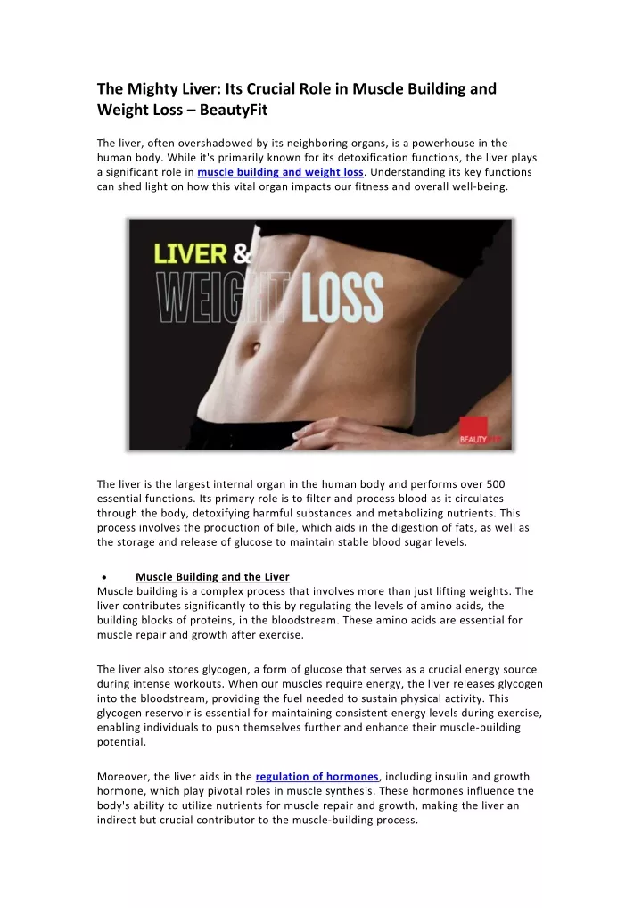 the mighty liver its crucial role in muscle