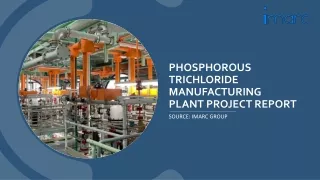 Setting up a Phosphorous Trichloride Manufacturing Plant Project Report 2024