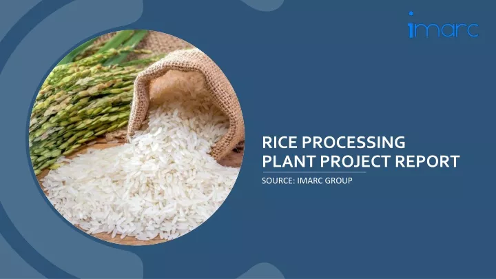 rice processing plant project report