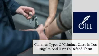 Common Types Of Criminal Cases In Los Angeles And How To Defend Them