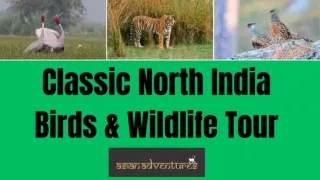 Rajasthan Family Tour Package | Corbett National Park | Bharatpur Bird Sanctuary