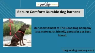 Secure Comfort: Durable dog harness