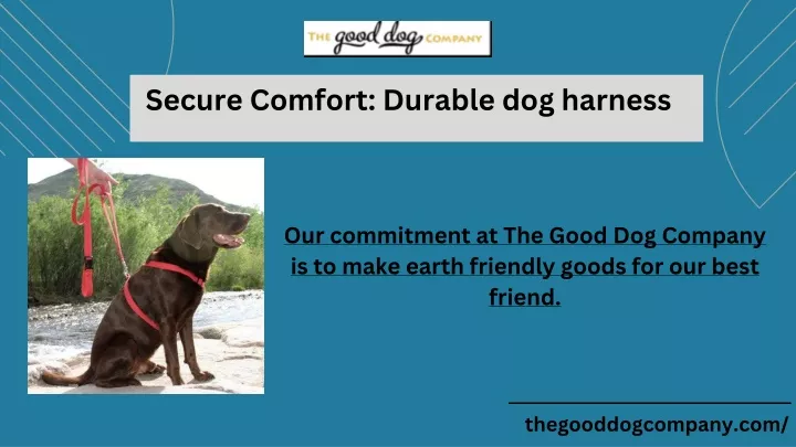 secure comfort durable dog harness