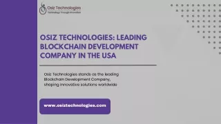 Osiz Technologies Leading Blockchain Development Company in the USA