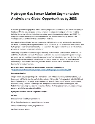 hydrogen gas sensor market segmentation analysis