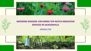 Exploring Top-notch Irrigation Services in Jacksonville