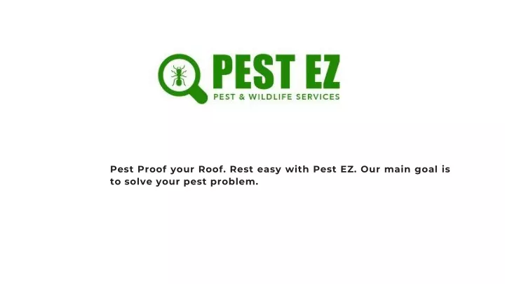 pest proof your roof rest easy with pest