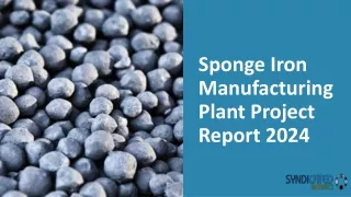 sponge iron manufacturing plant project report 2024