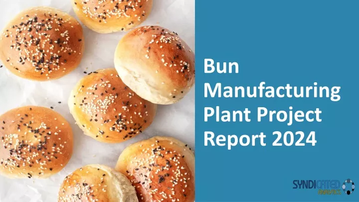 bun manufacturing plant project report 2024