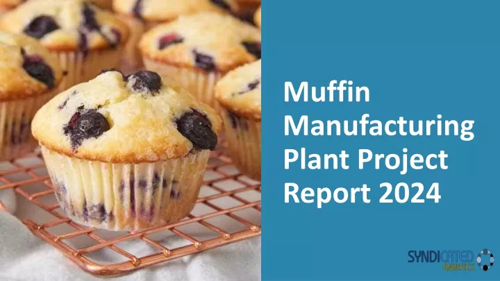 muffin manufacturing plant project report 2024