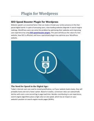 SEO Speed Booster Plugin for Wordpress 11 Jn