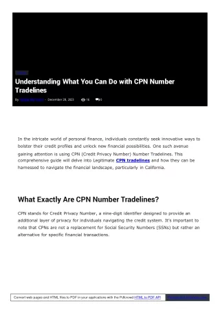 CPN (Credit Privacy Number) Number Tradelines