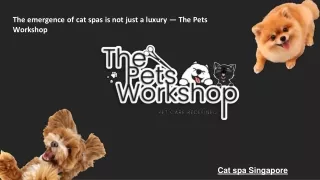 the emergence of cat spas is not just a luxury