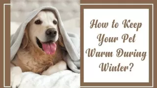 How to Keep your Pet Warm During Winter