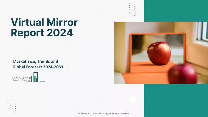 virtual mirror report 2024