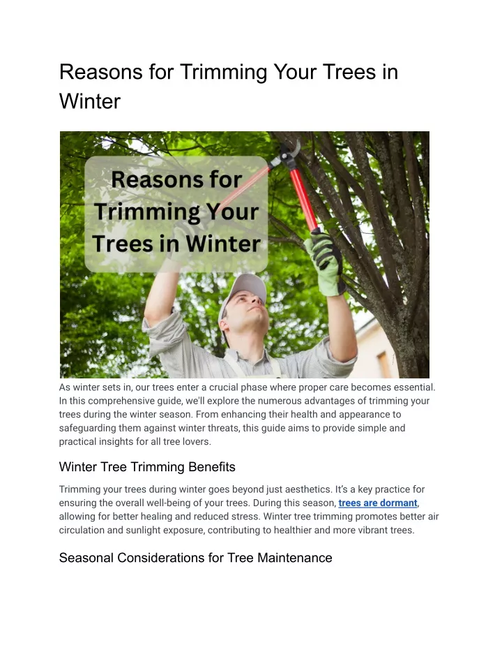 reasons for trimming your trees in winter