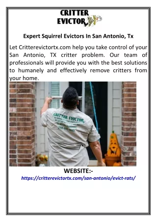 Expert Squirrel Evictors In San Antonio, Tx