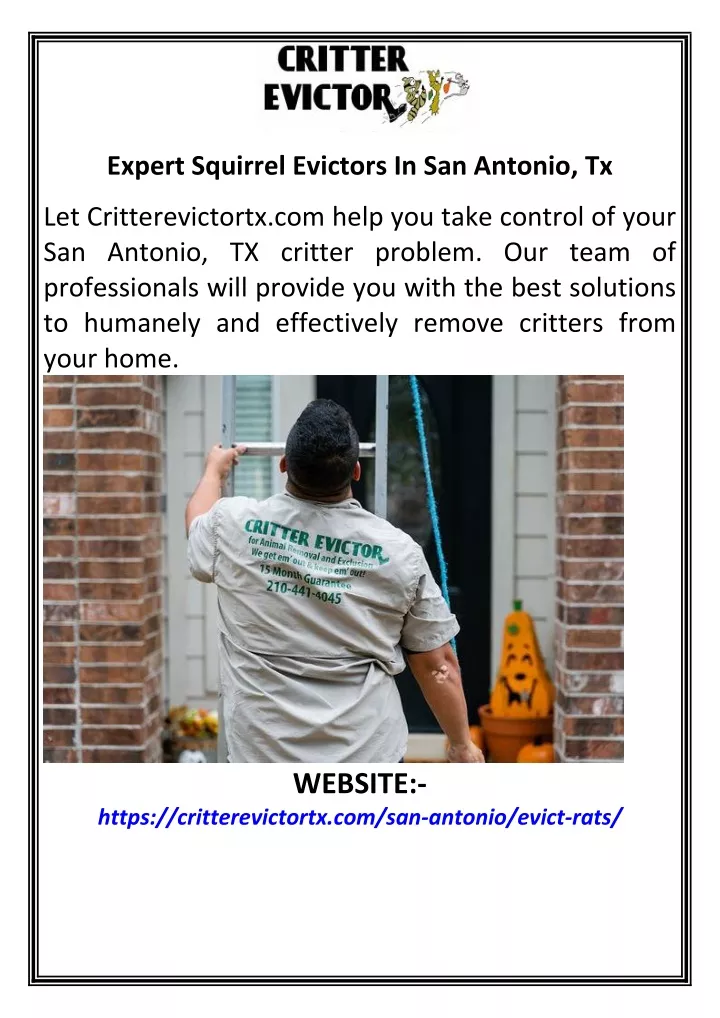 expert squirrel evictors in san antonio tx