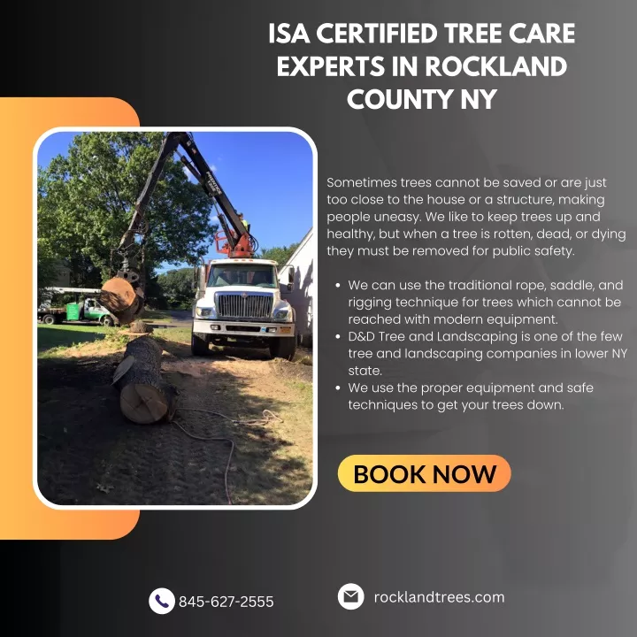 isa certified tree care experts in rockland