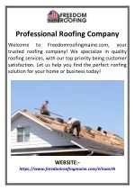 Professional Roofing Company - slide 1