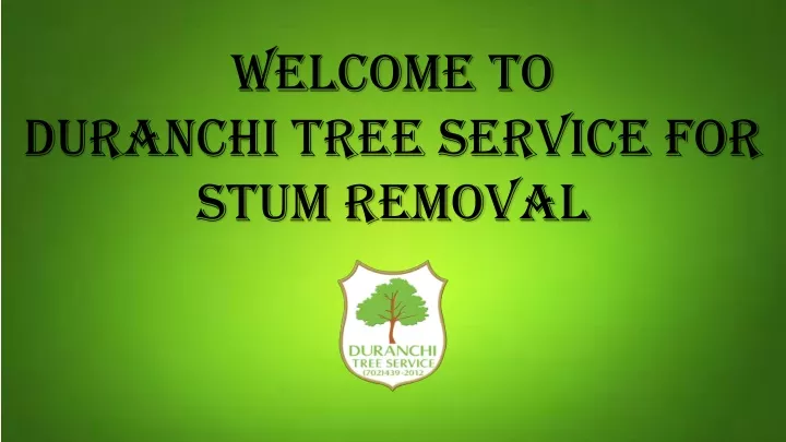 welcome to duranchi tree service for stum removal