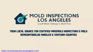 Guardians of Clean Water Damage  Mold Inspection Specialists