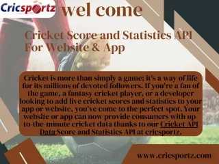 Score Big with Our Cricket Statistics API Integration