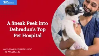 A Sneak Peek into Dehradun's Top Pet Hospital