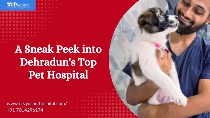 a sneak peek into dehradun s top pet hospital