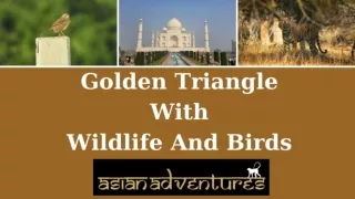 Indian Safari Holidays | Wildlife And Birding Tours | Wildlife Tour Packages In