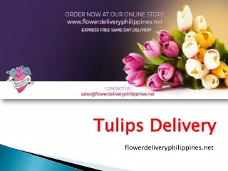 Tulips Delivery